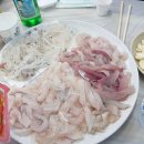 동해안회센타 이미지