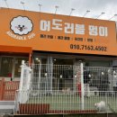 어도러블멍이 네이버블로그