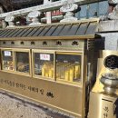 태아일체 선호 태권도장 | [임신]상태 좋은 중기, 본격 아기용품 준비🥕 20~29주차 일상 기록 (입덧ing,,)