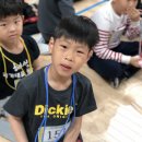 혜성태권도체육관 이미지