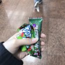 //월의 늦은 블로그 짜잔…! (작심삼월?)