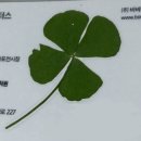 대교모터스 | BMW IX1 30 m스포츠 시승 및 계약후기 | 테슬라 계약취소