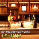 시그니엘호텔 부산점 | 부산 시그니엘 호텔 투숙객 전용 라운지 살롱드시그니엘 후기, 샴페인 무제한 호캉스 꿀팁 공개