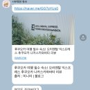 [후쿠오카] 우당탕탕 여행 준비 🧳 (비행기, 숙소, 버스투어 예약, 비짓재팬 etc…)