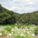 순배농장 이미지