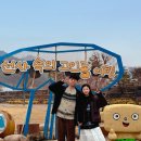 선사시대로 탐방 길(충의1코스) | 전북 고창 가볼만한곳 고창 고인돌 유적 박물관 유적지 공원 볼거리