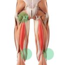 춘양삼성의원 이미지