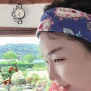 현암리 돌담집 이미지