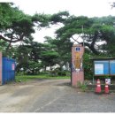 남성 초등학교 이미지