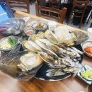 전통 증류주 올인(ALL-IN) 후기｜산양산삼 골드·구중구포 흑삼 블랙 비교
