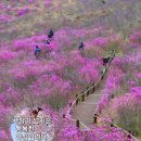 장수헬스클럽 이미지