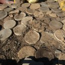 금국농장 이미지