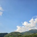 강나루하얀집 이미지