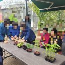 김제시 치매안심센터 | 김제시 치매안심센터 치유농업프로그램 텃밭만들기 카네이션꽃바구니 어르신 전문원예강사 치유농업사...