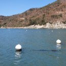 바다풍경민박 이미지