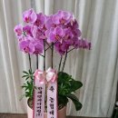 한세엔지니어링(주) - 1394 | 한세엔지니어링(주)