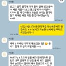 아토 강아지 미용실 | 양재동 애견미용 아토몽｜귀툭튀컷 너무 잘하는 애견미용샵 내돈내산 후기 🐶
