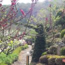 복숭아쉼터 이미지