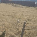 명가인빵 | (동국대 명상지도자과정)양주 육지장사 템플스테이 후기 2/2