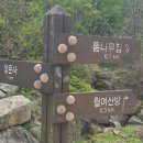 월여산방 티스토리