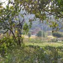 2009.가을 <야외스케치 수리산 다녀오다 > == 취미미술. 유화. 인상파 풍경화. 스케치. 가을 이미지