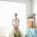 스메그, 모던한 디자인의 리니아 출시… &#34;빌트인 가전 강화&#34; 이미지