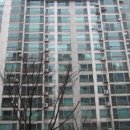 교하푸른약국 이미지