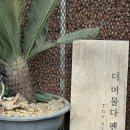 더(the) 머물다 펜션 이미지