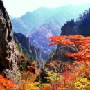 금강산 Daum카페