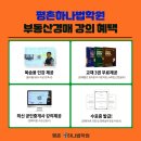 평촌하나법학원 이미지