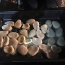 녹색오토캠핑장 이미지