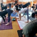 아헹가요가파주본원 이미지