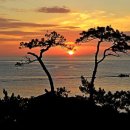 CU정동진모래시계점 이미지