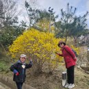 오창중학교 이미지