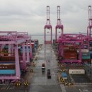 인천컨테이너터미널노동조합 이미지