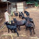 빈이네농장 이미지