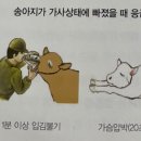 강옥축사 네이버블로그