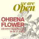 오베나플라워 이미지
