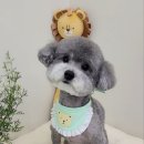 라이크테테 이미지