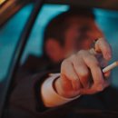 진웅농장 이미지