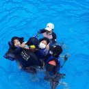 용인대 도곡 태권도장 이미지