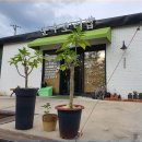 봉곡동050 이미지