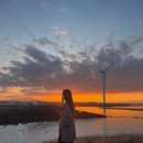 그초록 제주도 <b>그</b><b>초록</b>, 카멜커피, 아베베베이커리, 레이오버