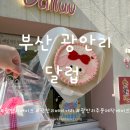 부산 광안리 달럽 Dalluv : 주문제작 케이크 내돈내산 맛집