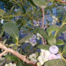 도담농장 이미지