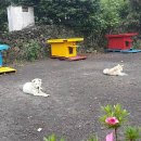 제주민박 이미지