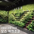 서울숲 곤충식물원 화장실 | 모스벽면조경, 스칸디아모스인테리어 자연이끼 아트월! 서울숲 곤충식물원