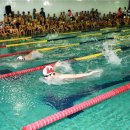 구청장배 수영대회 이미지