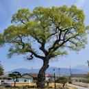 용방면사무소 이미지