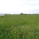 서귀포지방법원 이미지